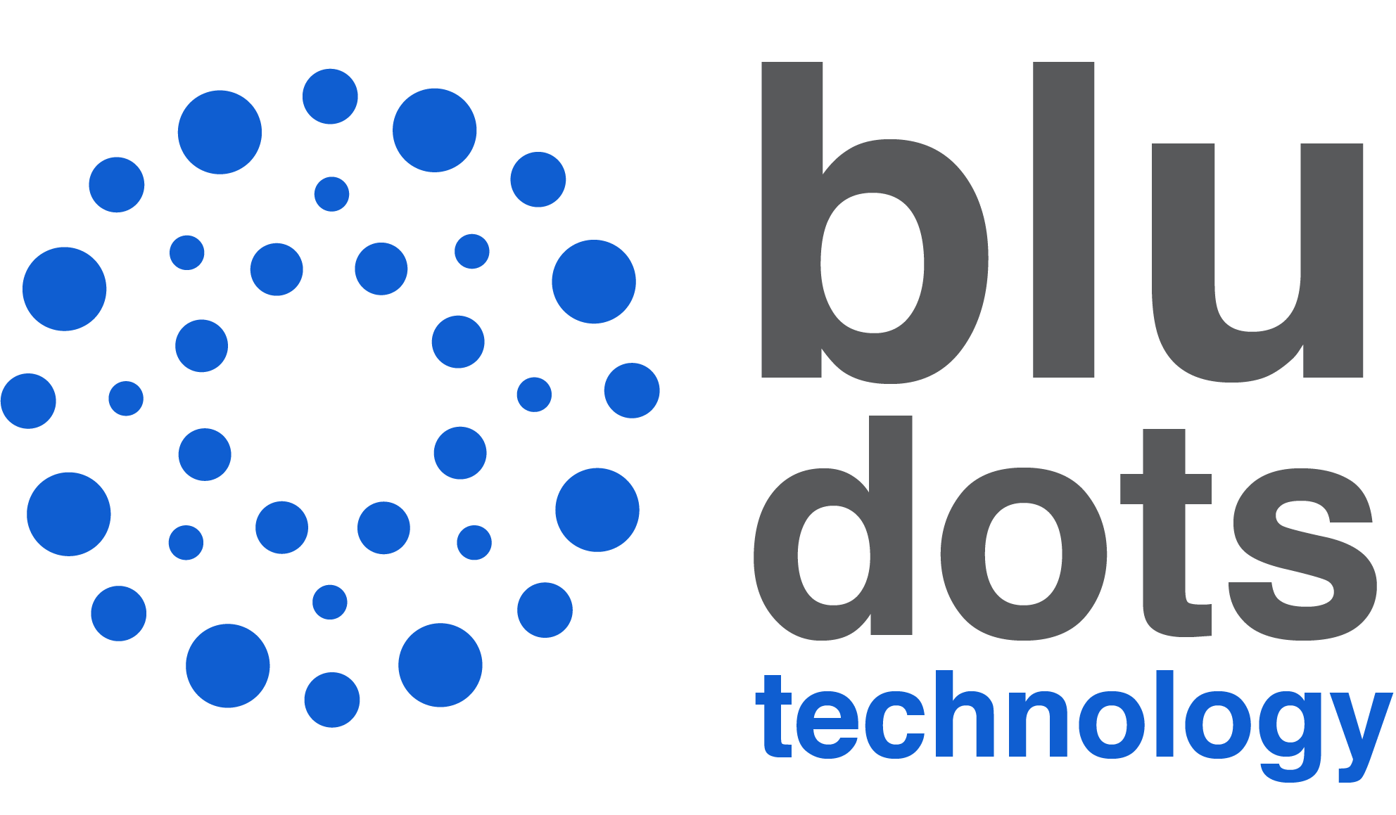 Bludots technology logo 002